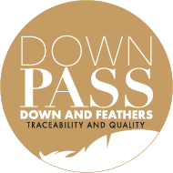 Down Pass